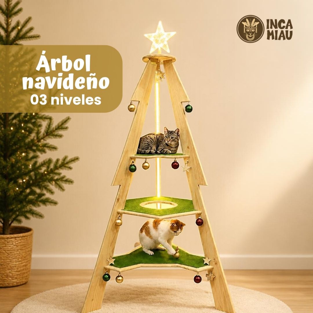 WEB Circuitos (4)