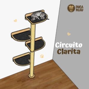 Circuito Clarita para Gatos - Gatificación