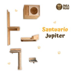 Circuito para Gatos - Santuario Jupiter
